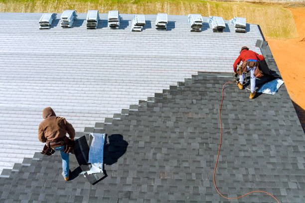 Best Chimney Flashing Repair  in Clara City, MN